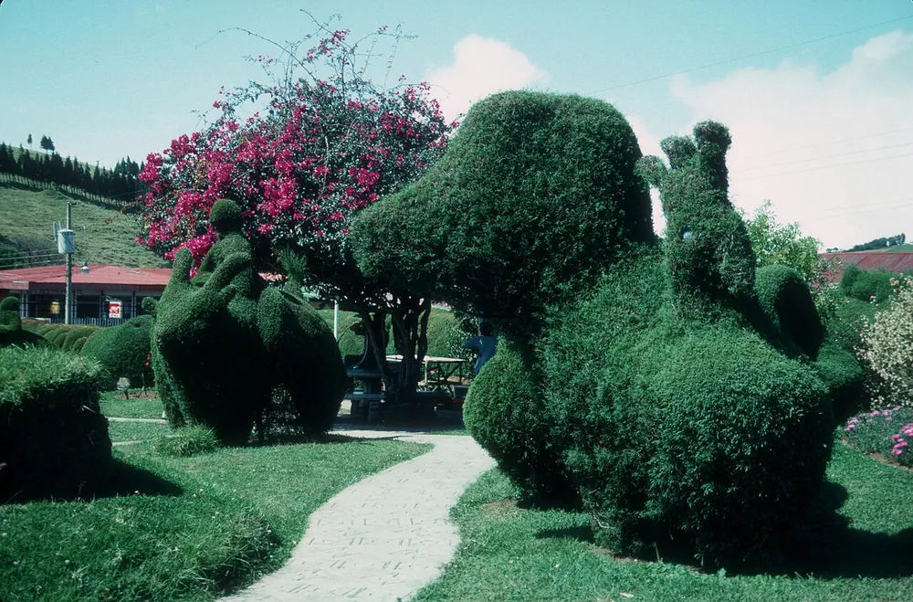 Zarcero Topiary Park, lugar emblemático en San José y Valle Central (foto 1 de 4)